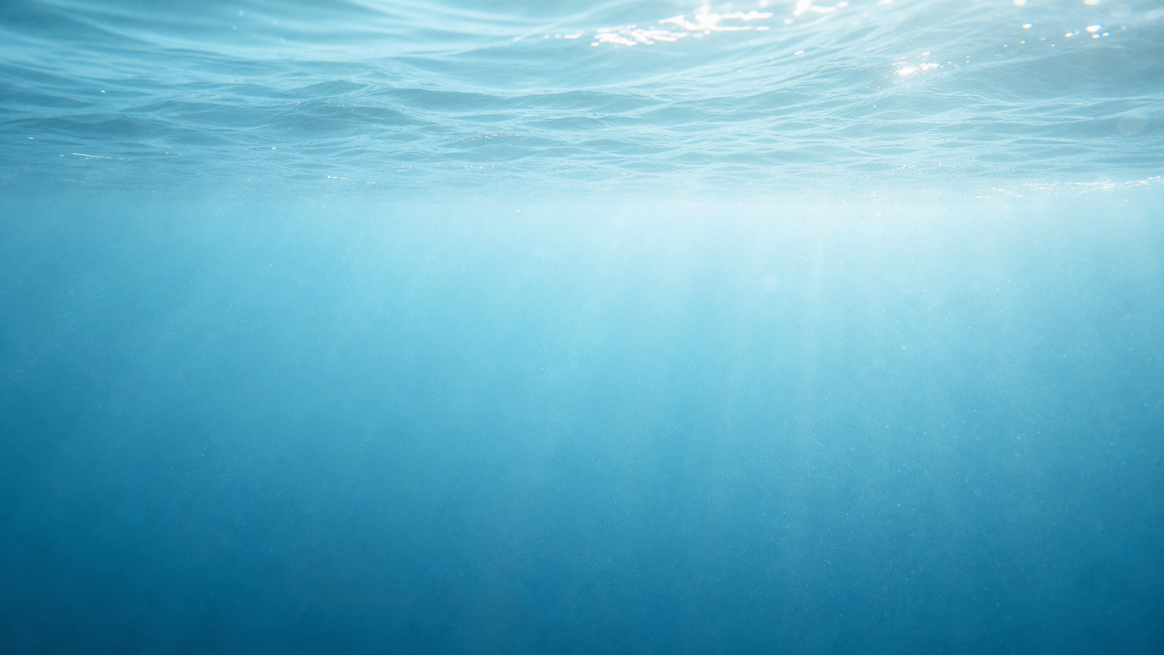 Sunlit ocean surface viewed from underwater.